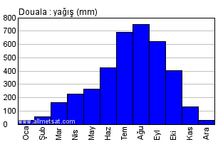 uydu goruntuleri